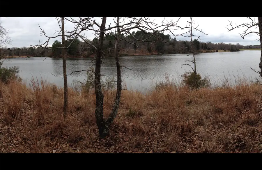 9122 Safari Bluff, Larue, TX 75770 - Image #2