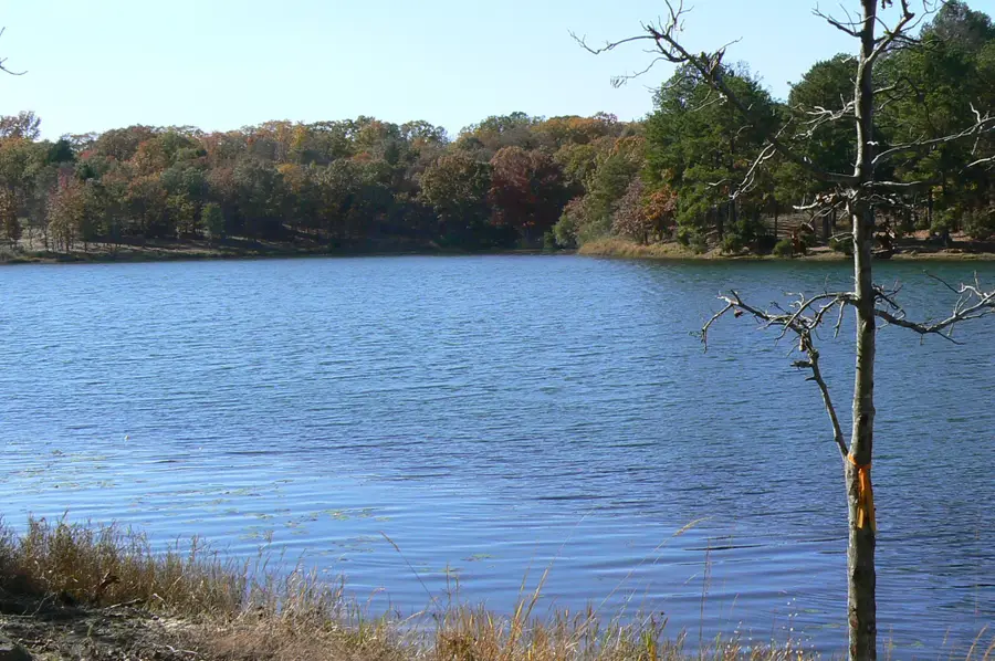 9122 Safari Bluff, Larue, TX 75770 - Image #3