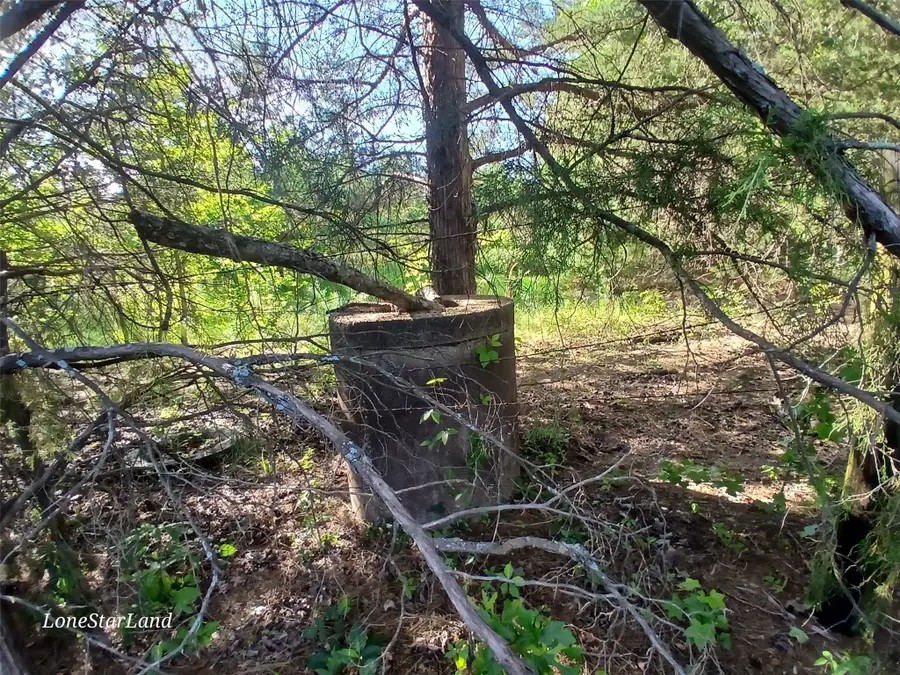 475 County Road 4421, Pittsburg, TX 75686 - #2