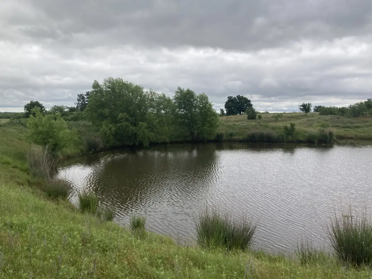 0000 Ward Road, Newcastle, TX 76372 - Image #1