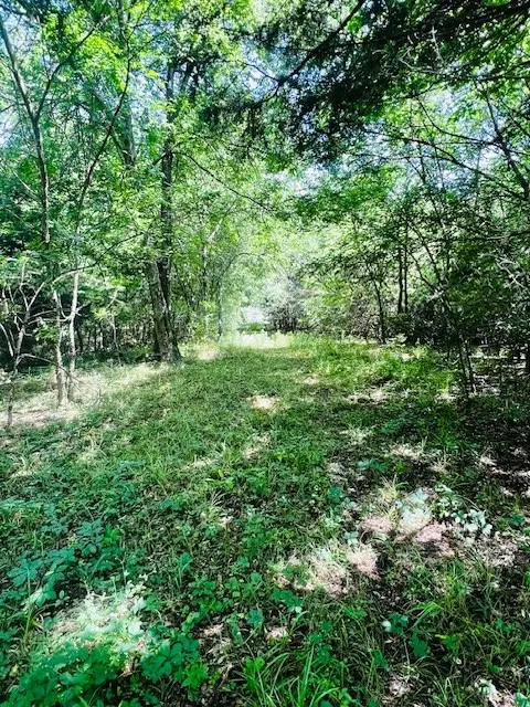 0 Fm-2297, Sulphur Springs, TX 75482 - Image #3