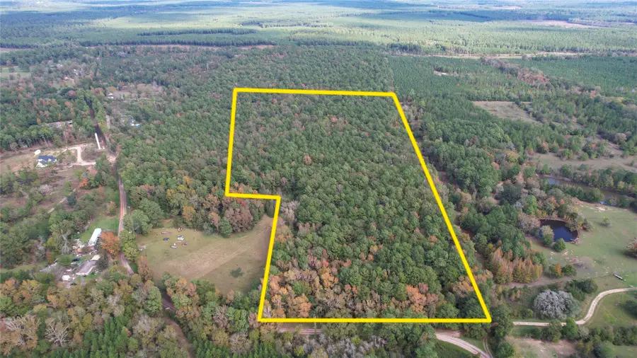 O Raven Hill Raven Hill Road, Oakhurst, TX 77359 - Image #3