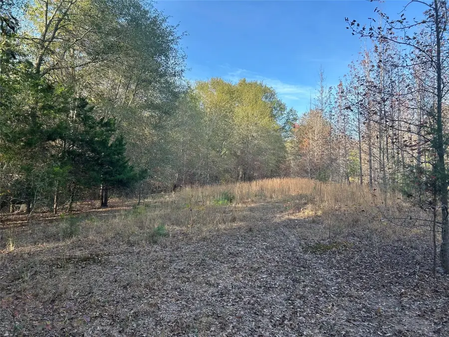 tract A County Road 1412, Bogata, TX 75426 - Image #2