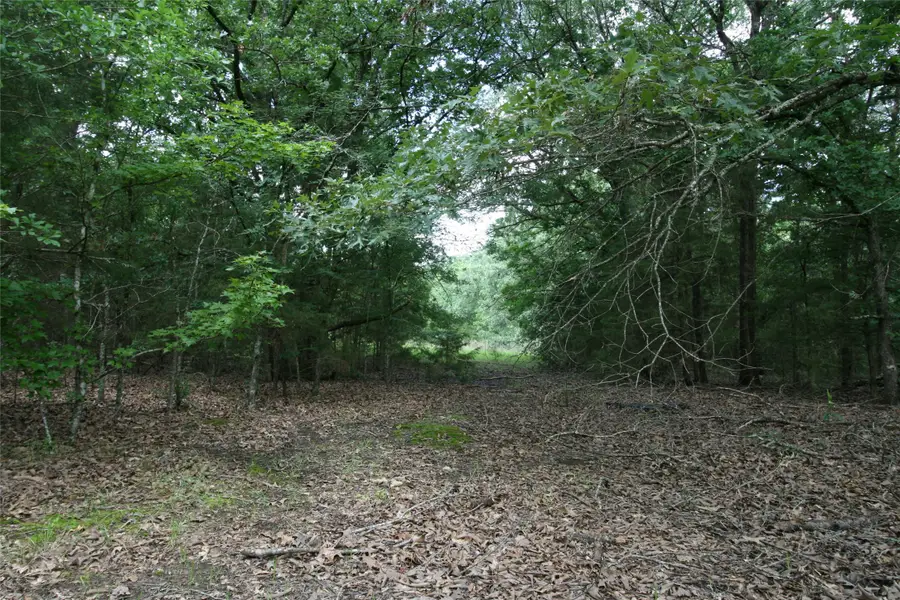 Tract 1 TBD Vzcr 1507, Grand Saline, TX 75140 - Image #3