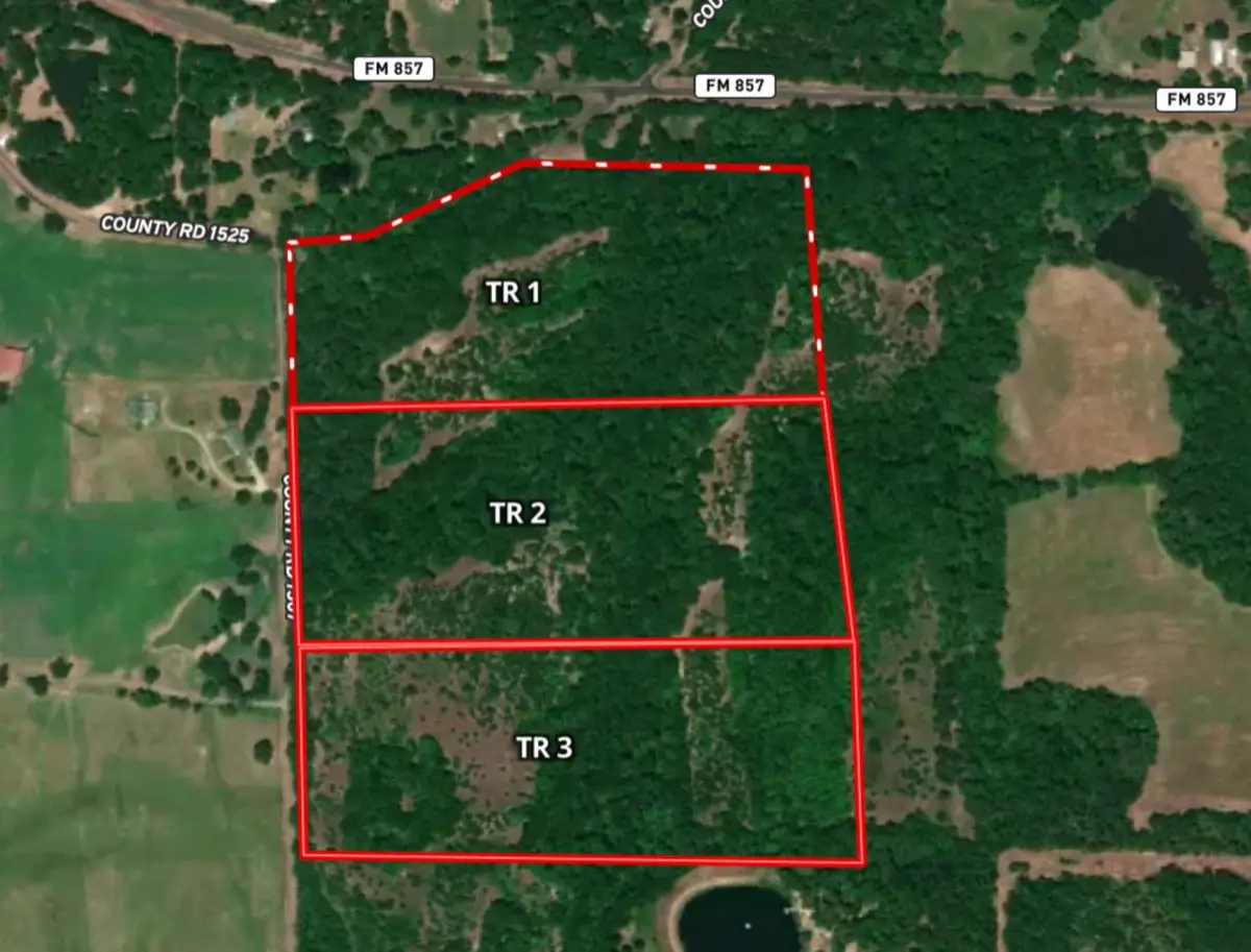 Tract 3 TBD Vzcr 1507, Grand Saline, TX 75140 - Image #1