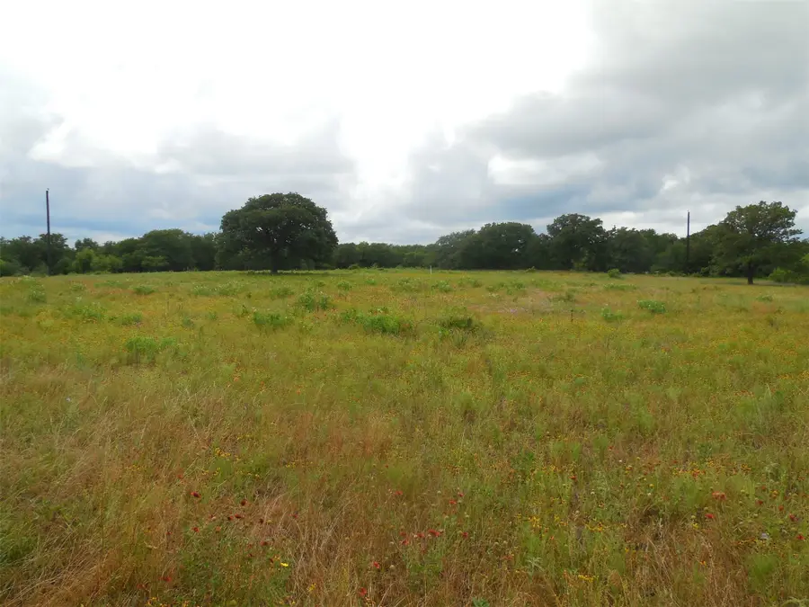 TBD County Road 488, Ranger, TX 76470 - Image #2