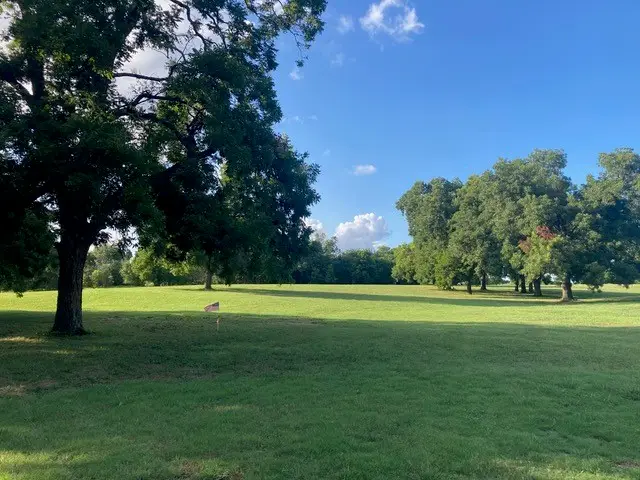 9015 Us Highway 69, Bells, TX 75414 - Image #3