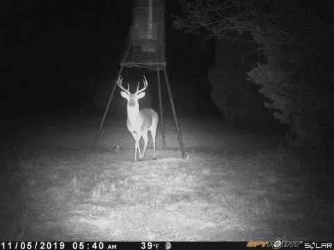 TBD County Road 382, Carlton, TX 76436 - Image #2