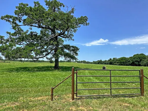 TBD Cr-1127, Athens, TX 75751