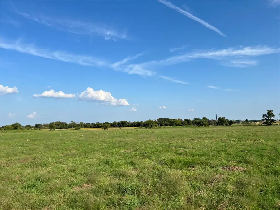 TBD NE County Road 1010 Lot #8, Rice, TX 75155 - Image #3