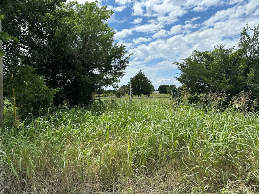 Lot 7 Lemonade Ln., Farmersville, TX 75442 - Image #2