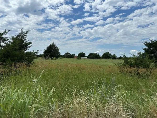 Lot 8 Lemonade Ln., Farmersville, TX 75442