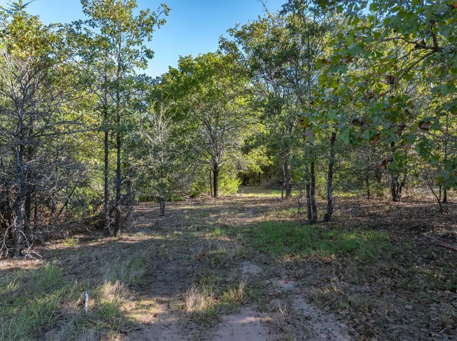 8157 County Rd 2418, Royse City, TX 75189 - Image #2