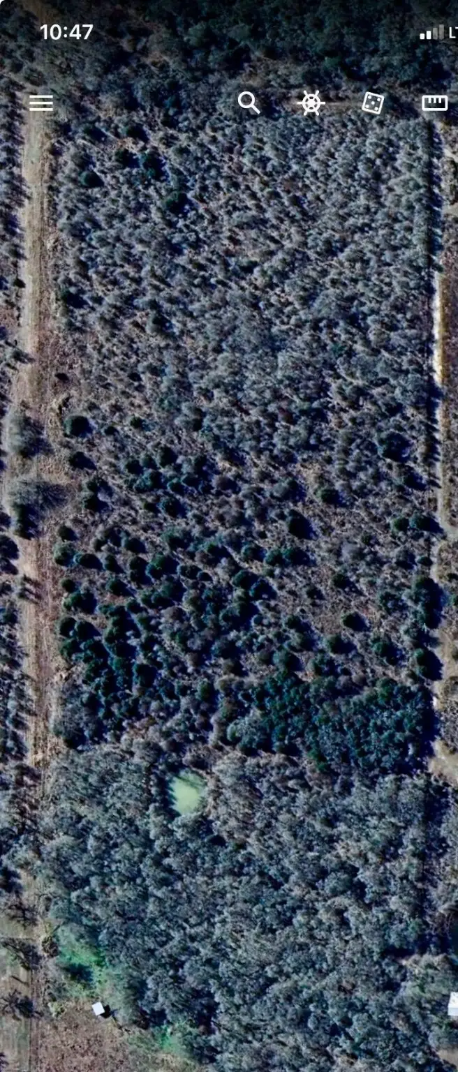 000 County Road 123, Ledbetter, TX 78946 - Image #2