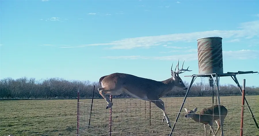 TBD 92.81 +/- ACRES Leeper Road, Ringgold, TX 76261 - Image #3