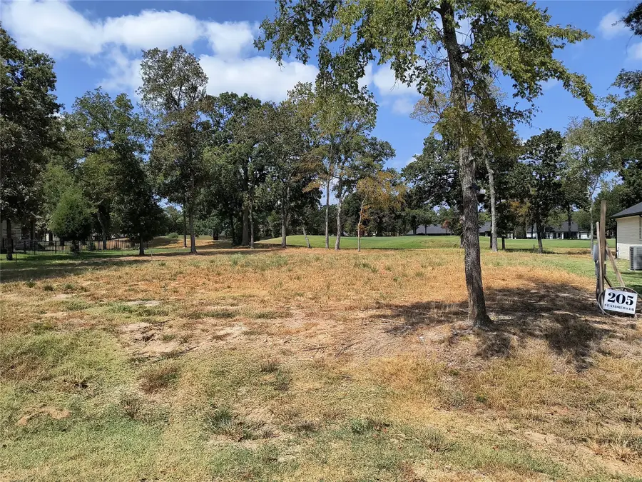 205 St Andrews Drive, Mabank, TX 75156 - Image #3