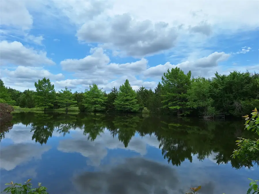 2403 County Road 3210, Dodd City, TX 75438 - Image #3