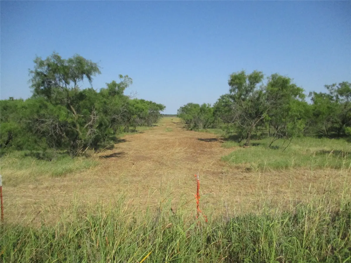 Tr 2 Big Sandy, Bowie, TX 76230 - Image #1