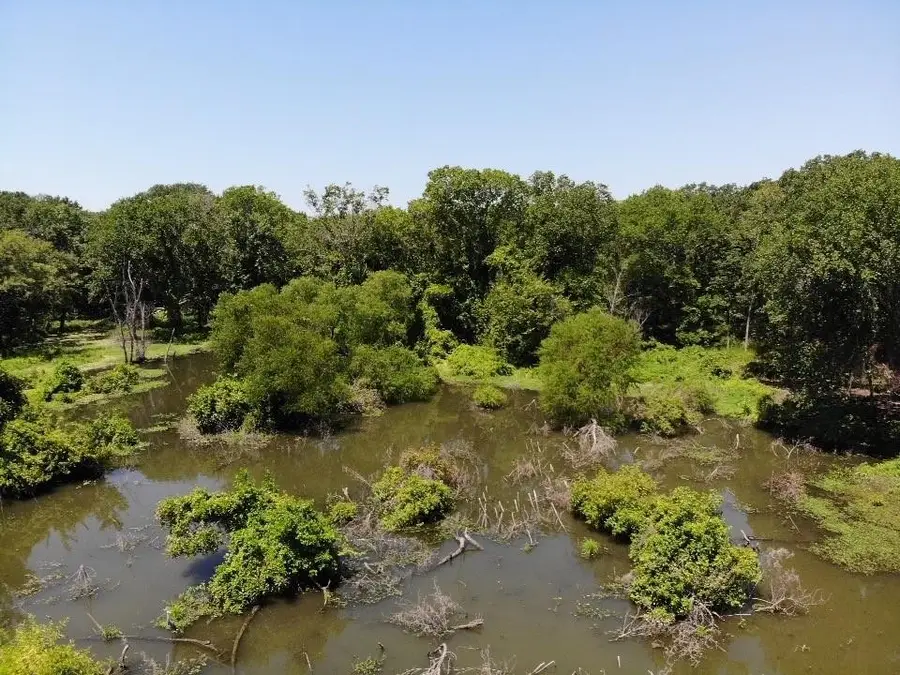 TBD Cr-3624 Drive, Quinlan, TX 75474 - #2