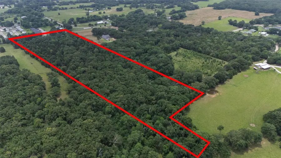 2062 Vz County Road 1803, Grand Saline, TX 75140 - Image #3