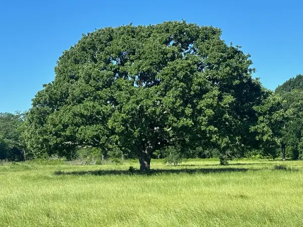 TBD County Road 4410, Commerce, TX 75428