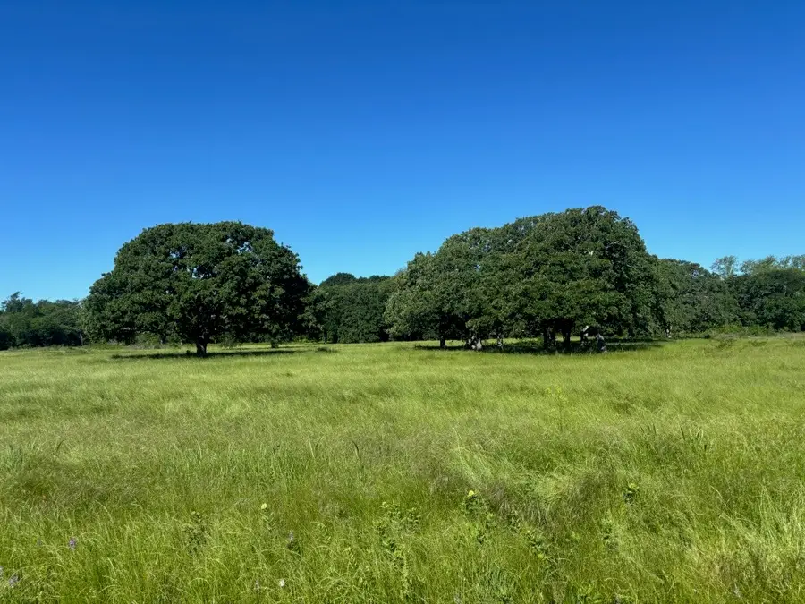 TBD County Road 4410, Commerce, TX 75428 - Image #2