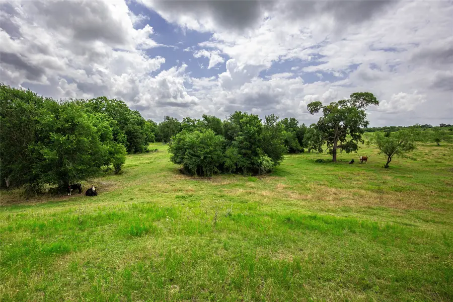 TBD Fm 147, Marlin, TX 76661 - Image #3