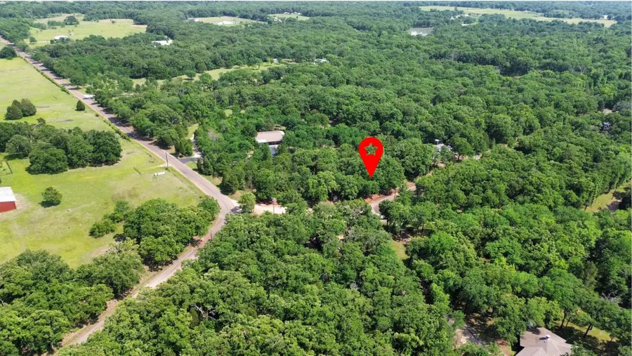 193 Cedar Oaks Drive, Mabank, TX 75156 - Image #3