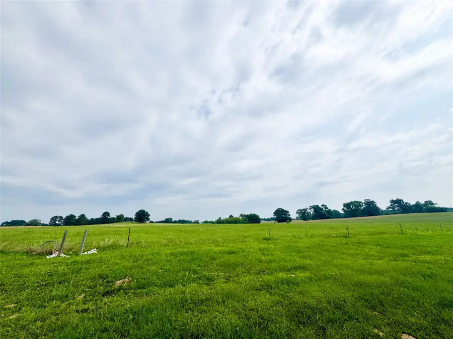 Lot 62 Cr 2320, Pittsburg, TX 75686 - Image #2