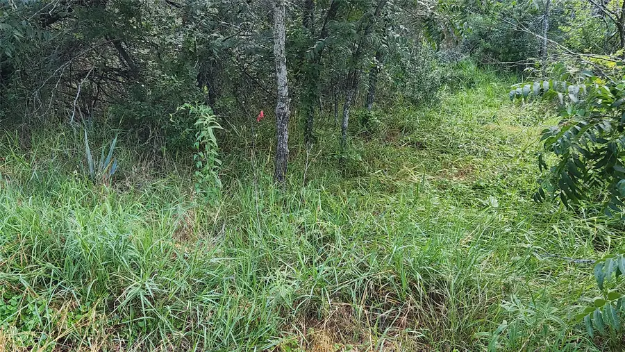 839 E Aquarius Court, Granbury, TX 76049 - Image #2