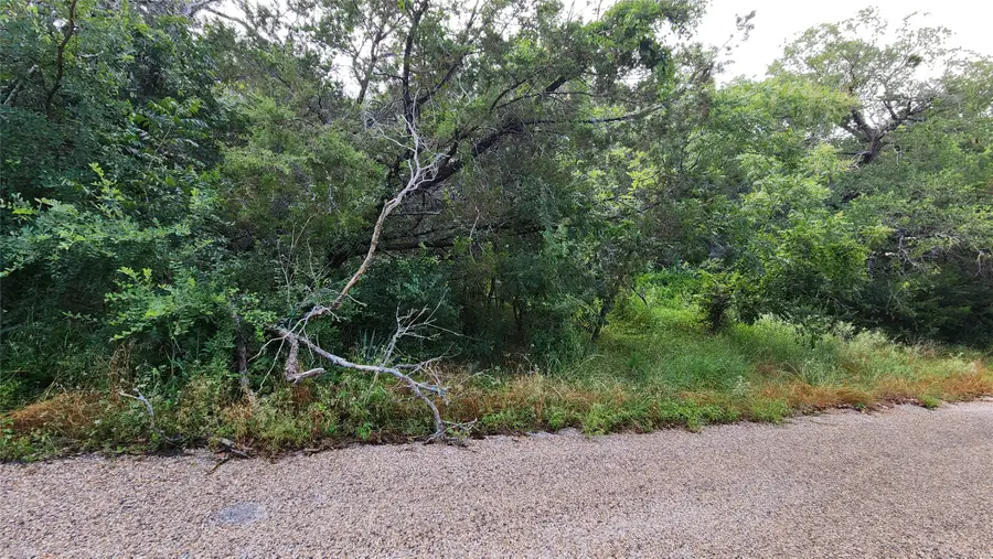 839 E Aquarius Court, Granbury, TX 76049 - Image #3