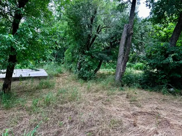 4308 Cornelia Street, Greenville, TX 75401 - Image #2