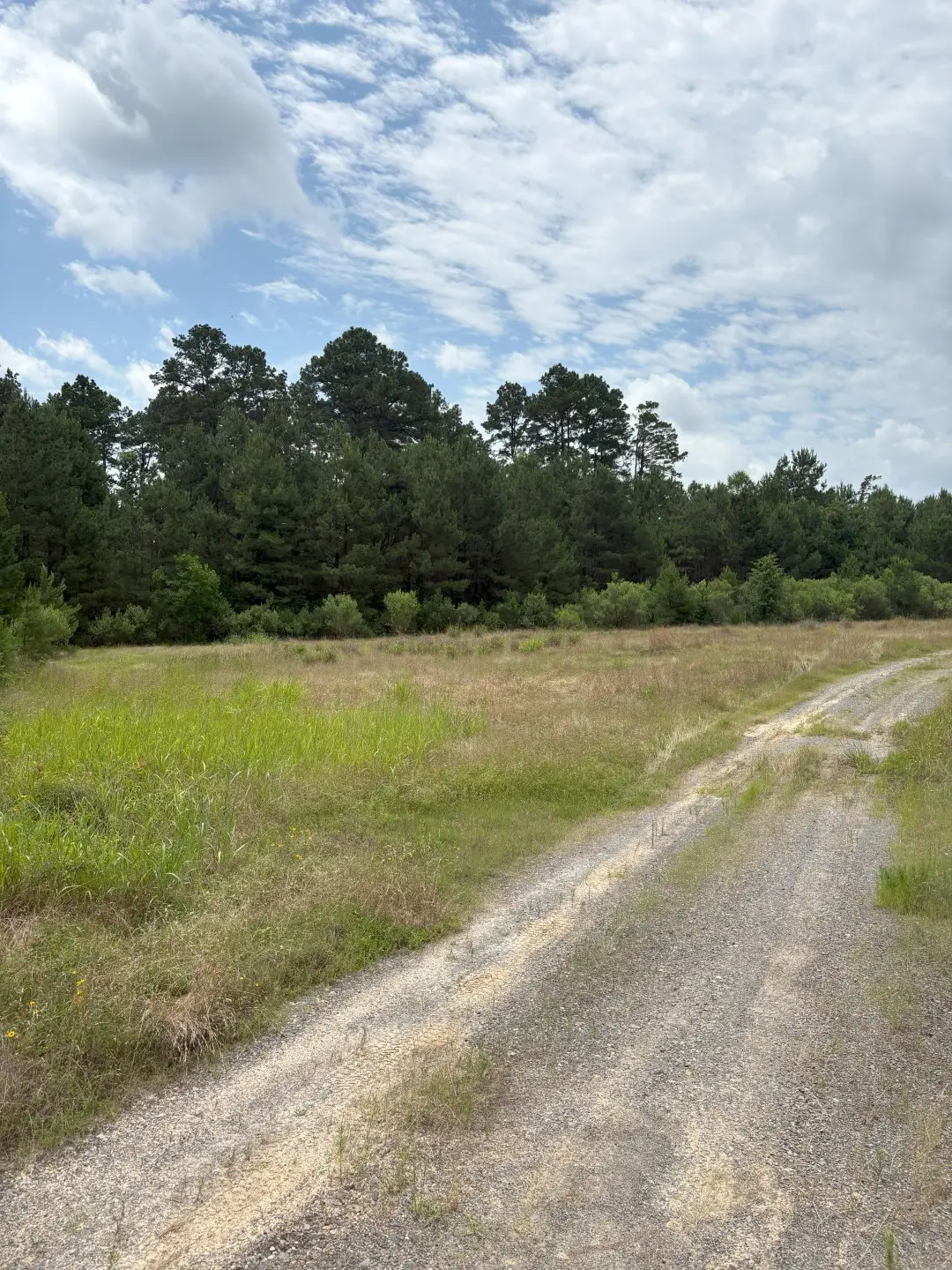 TBD County Road 425, Tenaha, TX 75974 - Image #1