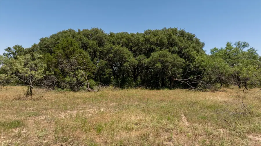 TBD Cr 386, Carlton, TX 76436 - Image #3