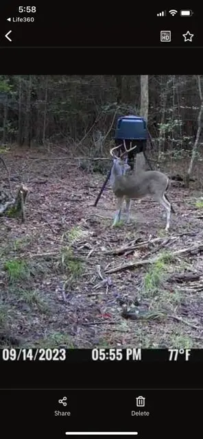 TBD Flarity Road, Jefferson, TX 75657 - Image #2