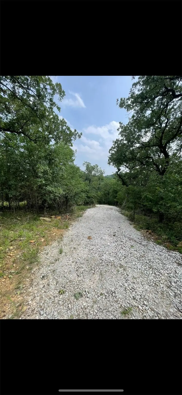 363 Three Forks Court, Chico, TX 76431 - Image #3