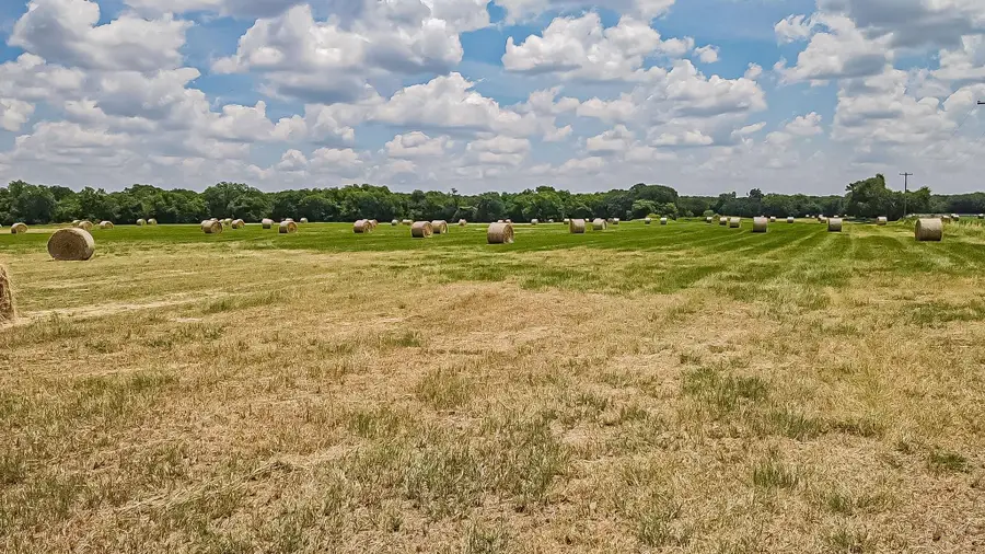 Lot 2 Gathings Avenue, Covington, TX 76636 - Image #2