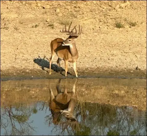 2367 County Road 311, Gouldbusk, TX 76845 - Image #1