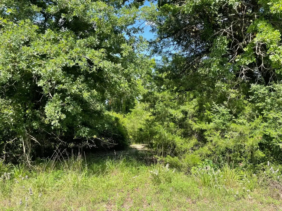 TBD 794, Groesbeck, TX 76687 - #1