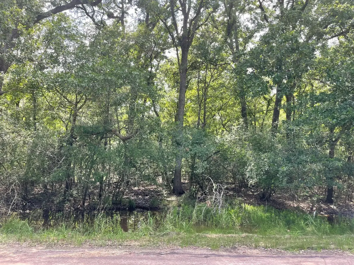 TBD County Road 750, Thornton, TX 76687 - Image #1