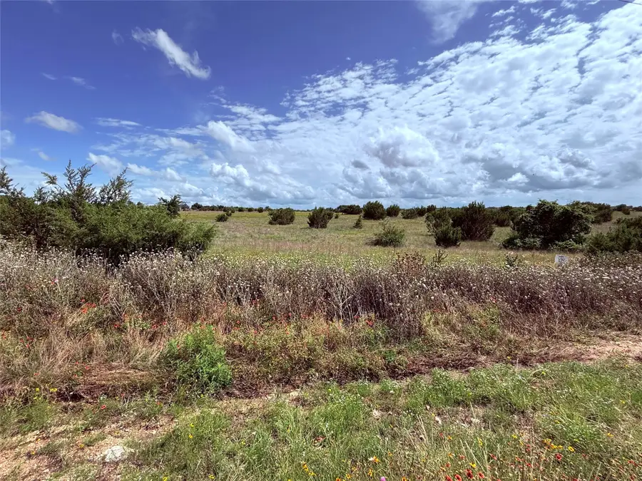 184 Gilmore Court, Lipan, TX 76462 - Image #2