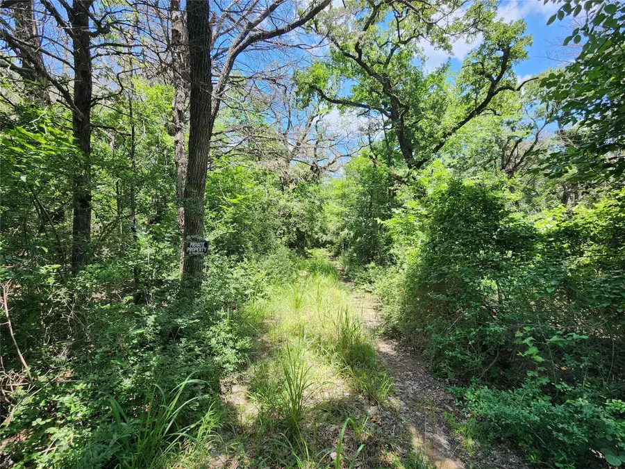 533 Lcr 721, Kosse, TX 76653 - Image #2