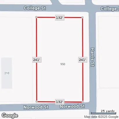 950 Harris Street, Mingus, TX 76463 - Image #3