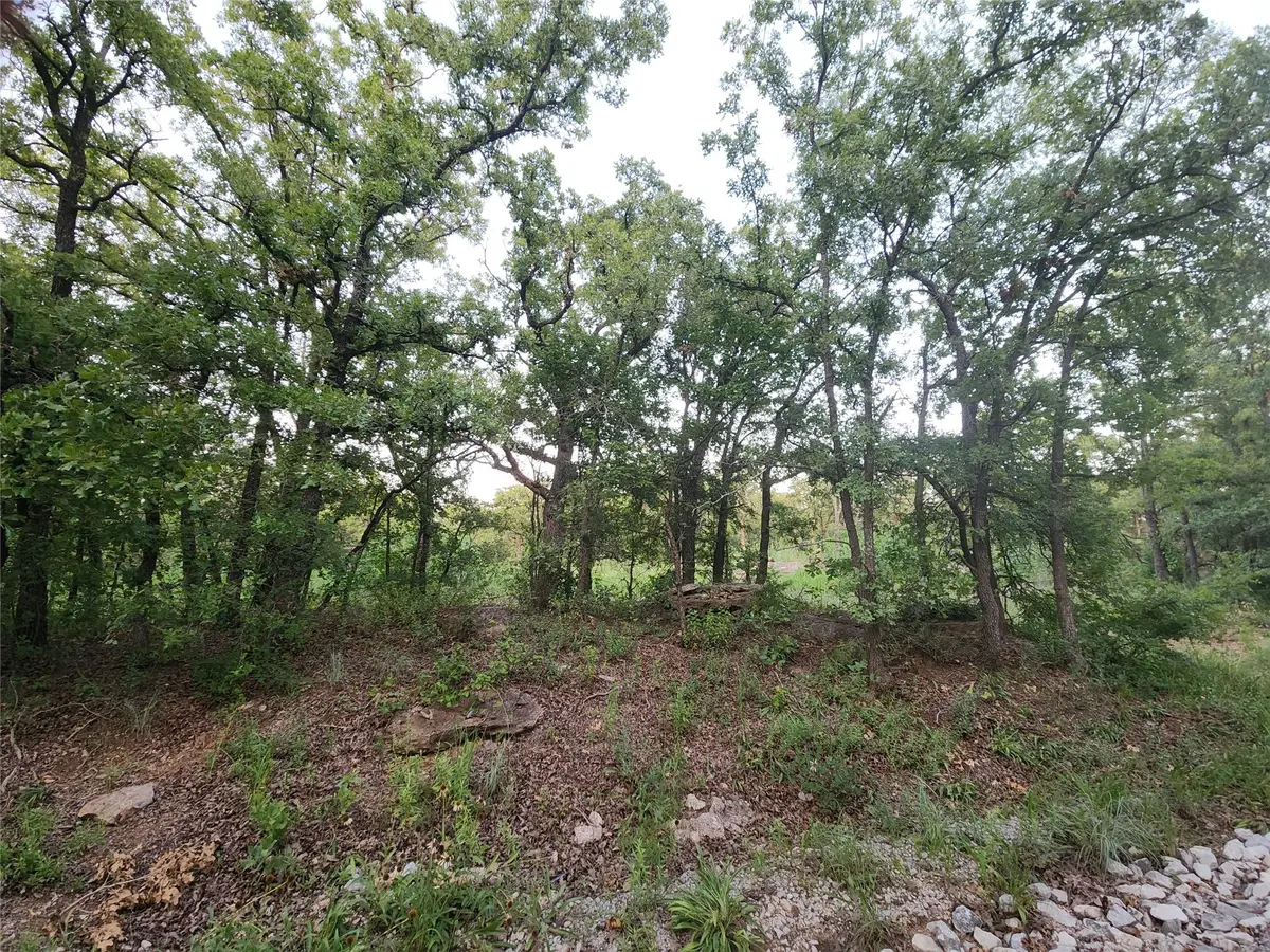 491 County Road 1770, Chico, TX 76431 - Image #1