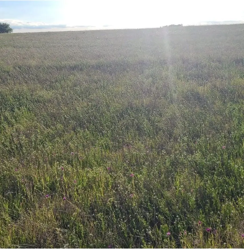 TBD Crest View Trail, Hillsboro, TX 76645 - Image #3