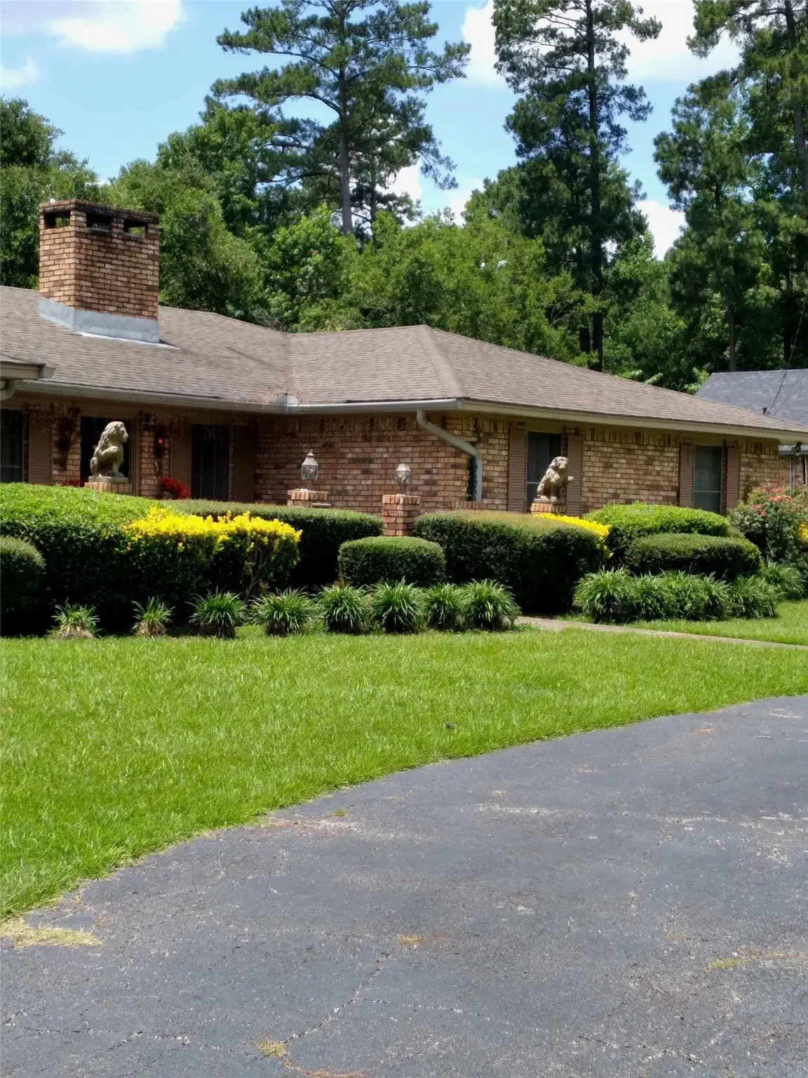 386 County Road 1130, Center, TX 75935 - Image #1