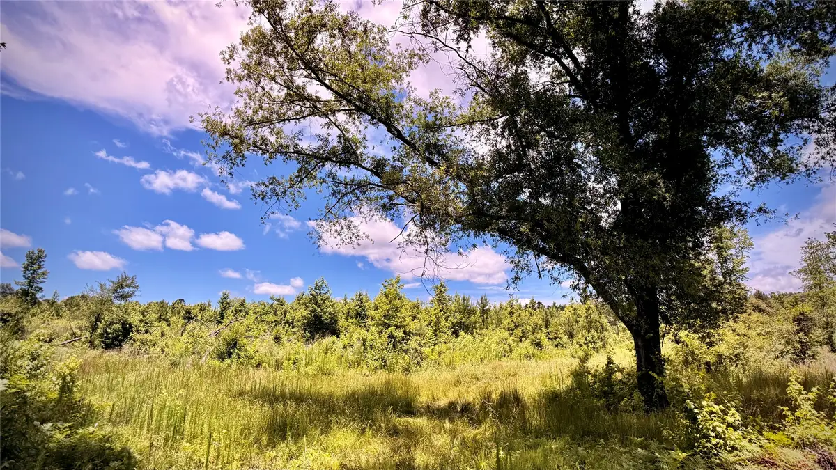 0 Cook, Bernice, LA 71222 - Image #1