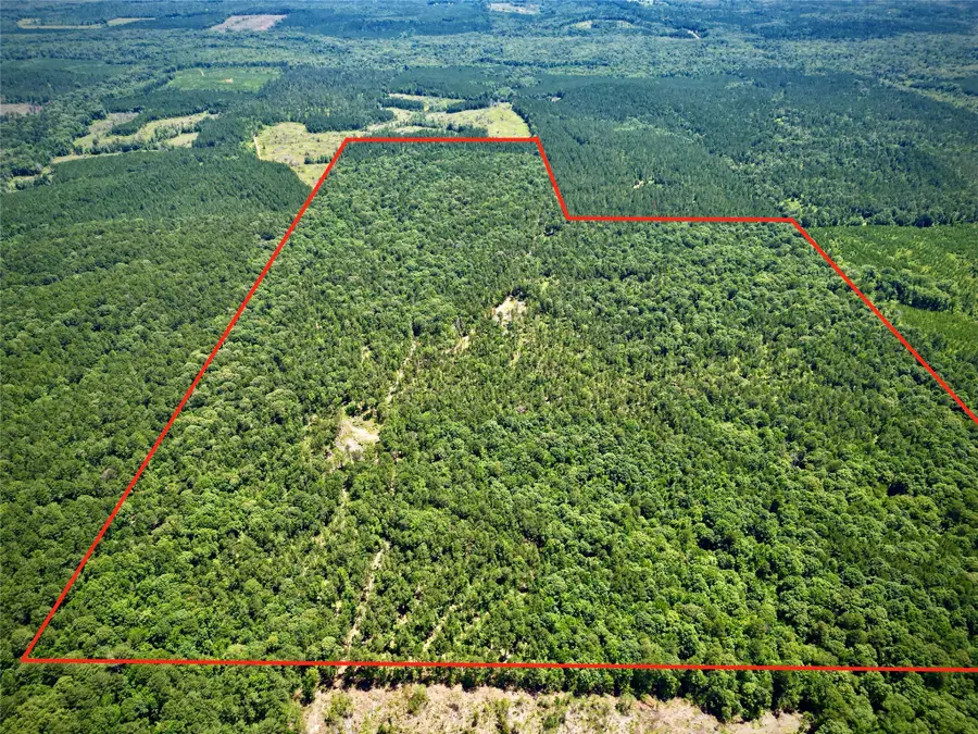 000 William Colvin Road, Bernice, LA 71222 - Image #3