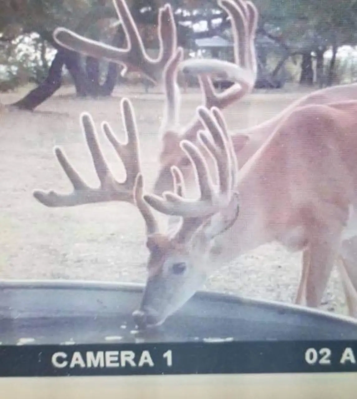 400 Indian Hills Road, Gatesville, TX 76528 - Image #1