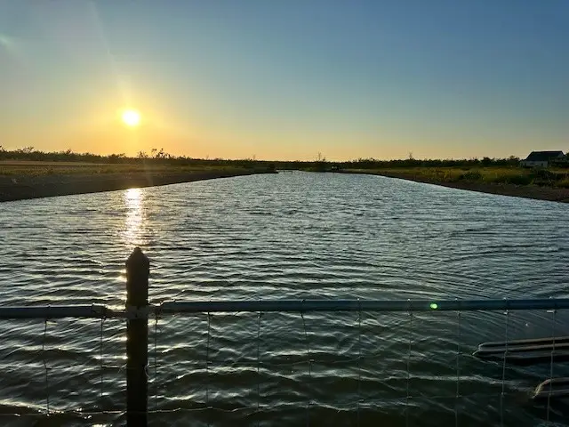 970 County Road 256, Coleman, TX 76834 - Image #1